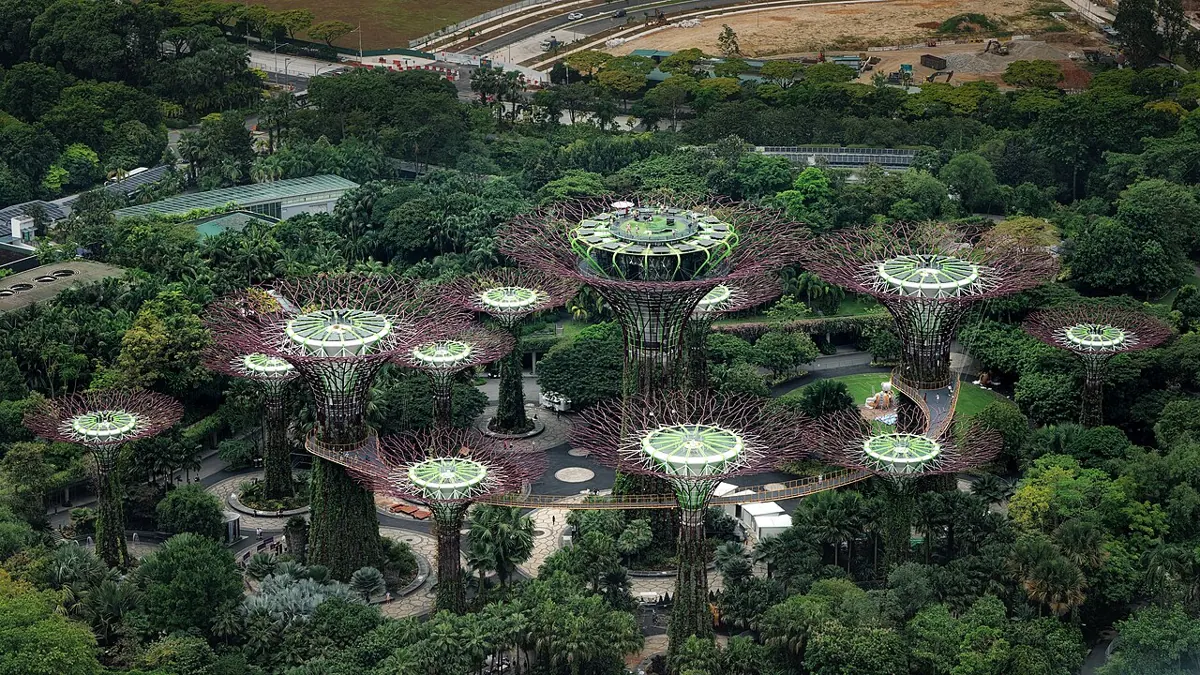 Supertree Grove at Gardens by the Bay, Singapore, an easy 96-hour stopover for Indians living in Australia